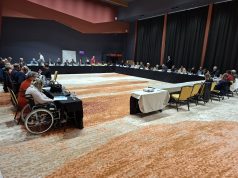 Konsultacije organizacija OSI i UN DIWG